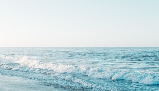 【2026年版】爬虫類顔の芸能人30選！男女の特徴・俳優やジャニーズで囁かれているのは？