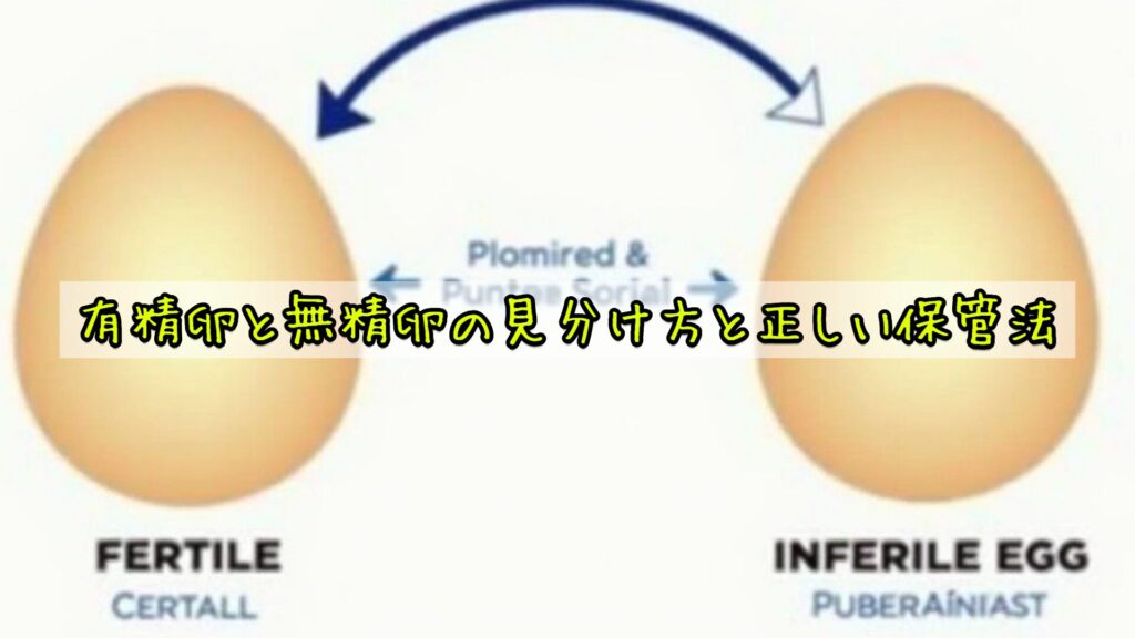 亀が無精卵を食べるのはなぜ?安全性と対処法を徹底解説 ...