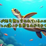 ウミガメが爬虫類なのはなぜ？両生類との違いや生態をわかりやすく解説