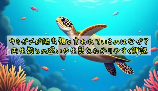 ウミガメが爬虫類なのはなぜ？両生類との違いや生態をわかりやすく解説