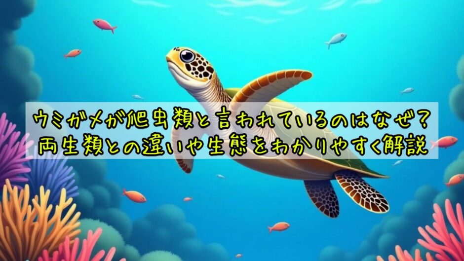 ウミガメが爬虫類なのはなぜ？両生類との違いや生態をわかりやすく解説