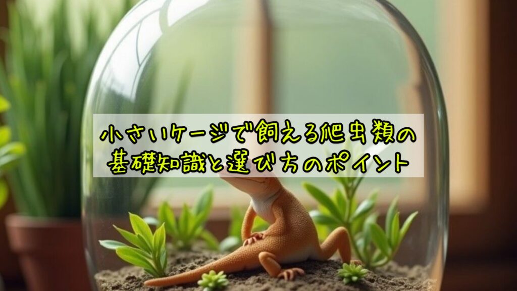 小さいケージで飼える爬虫類の基礎知識と選び方のポイント