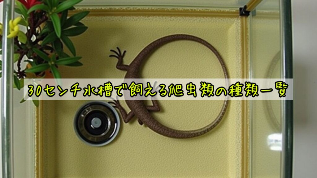 30センチ水槽で飼える爬虫類の種類一覧