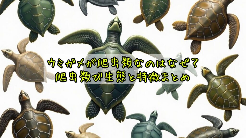 ウミガメが爬虫類なのはなぜ？爬虫類の生態と特徴まとめ