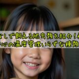 ヒーターなしで飼える爬虫類を紹介!初心者でも安心の温度管理いらずな種類とは