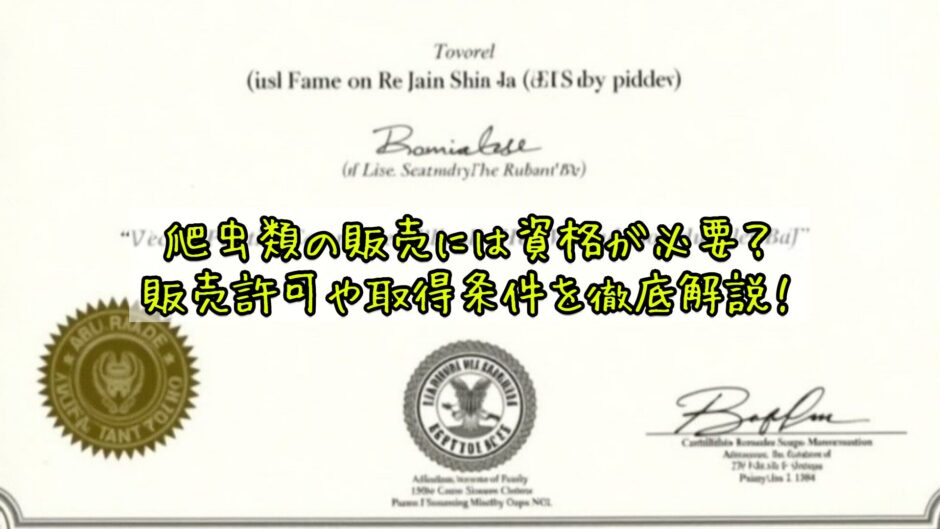 爬虫類の販売には資格が必要？販売許可や取得条件を徹底解説！