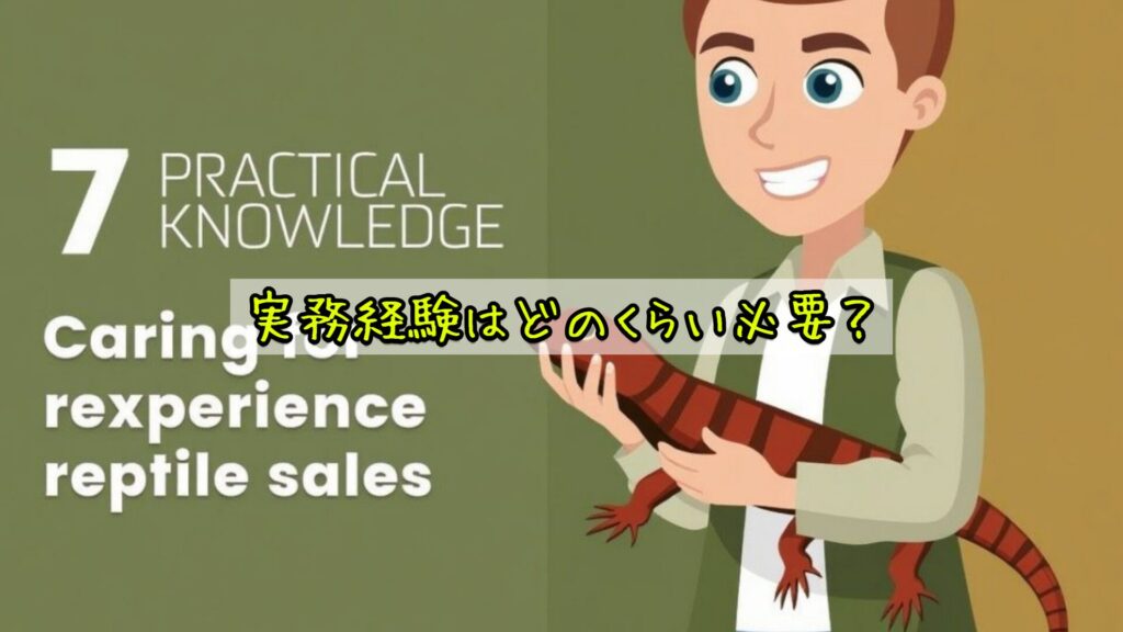 実務経験はどのくらい必要？