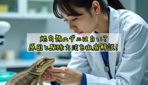 爬虫類のダニは白い？原因と駆除方法を徹底解説！