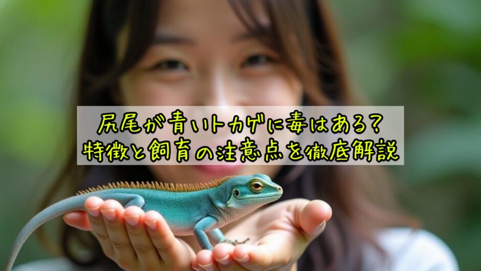 尻尾が青いトカゲに毒はある？特徴と飼育の注意点を徹底解説