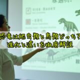 恐竜は爬虫類と鳥類どっち？進化と違いを徹底解説