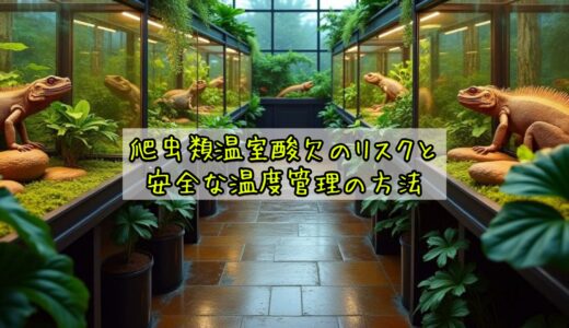 爬虫類温室酸欠のリスクと安全な温度管理の方法