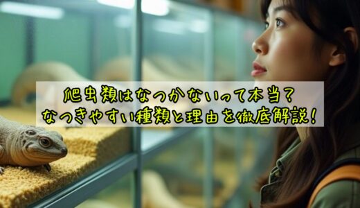 爬虫類はなつかないって本当？なつきやすい種類と理由を徹底解説！
