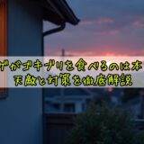 トカゲがゴキブリを食べるのは本当？天敵と対策を徹底解説