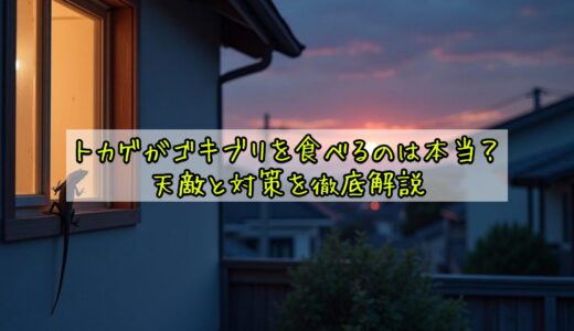 トカゲがゴキブリを食べるのは本当？天敵と対策を徹底解説