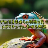 【トカゲ虹色】毒ありの特徴と見分け方・スピリチュアル意味を解説
