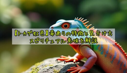 【トカゲ虹色】毒ありの特徴と見分け方・スピリチュアル意味を解説