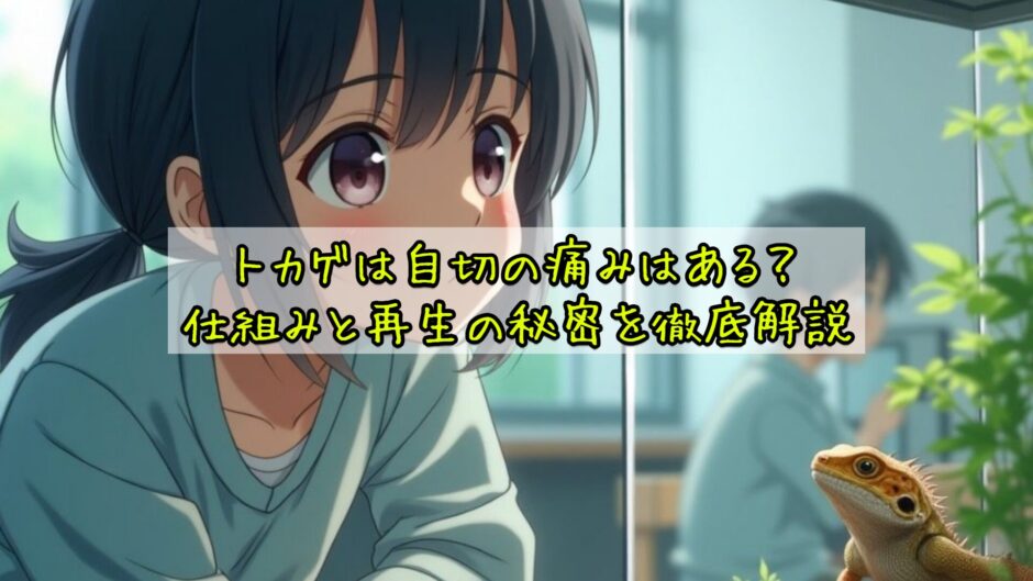 トカゲは自切の痛みはある？仕組みと再生の秘密を徹底解説