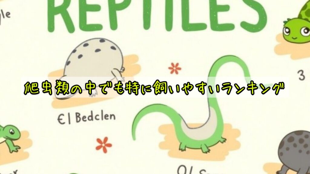 爬虫類の中でも特に飼いやすいランキング