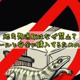 爬虫類通販はなぜ禁止?販売ルールと安全に購入するための注意点