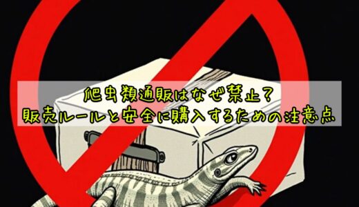 爬虫類通販はなぜ禁止？販売ルールと安全に購入するための注意点