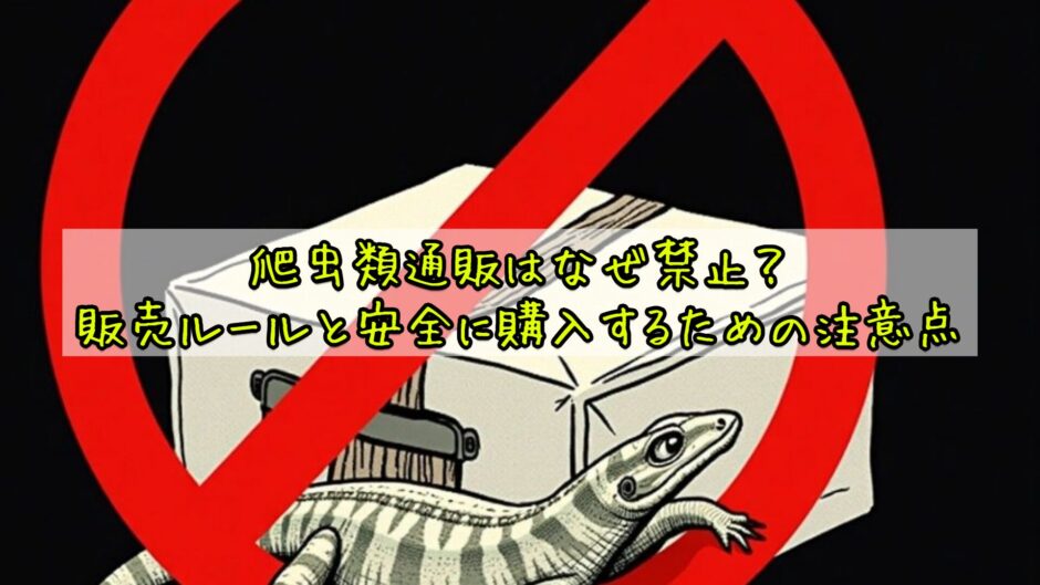 爬虫類通販はなぜ禁止？販売ルールと安全に購入するための注意点