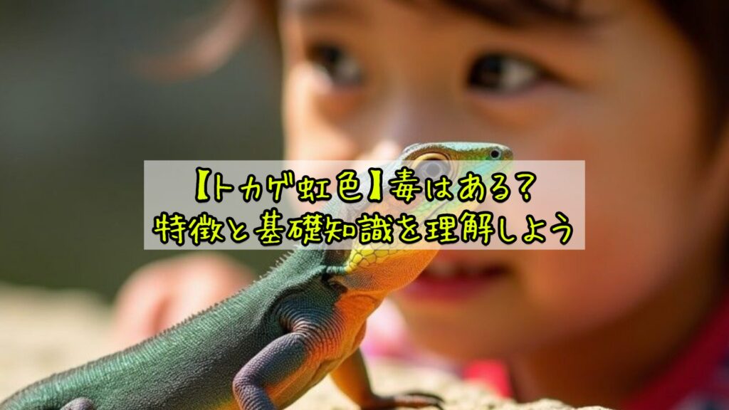 【トカゲ虹色】毒はある？特徴と基礎知識を理解しよう