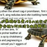 亀が無精卵を食べるのはなぜ？安全性と対処法を徹底解説！