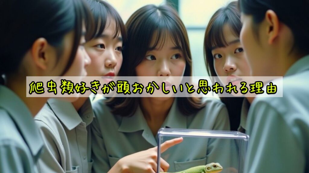 爬虫類好きが頭おかしいと思われる理由