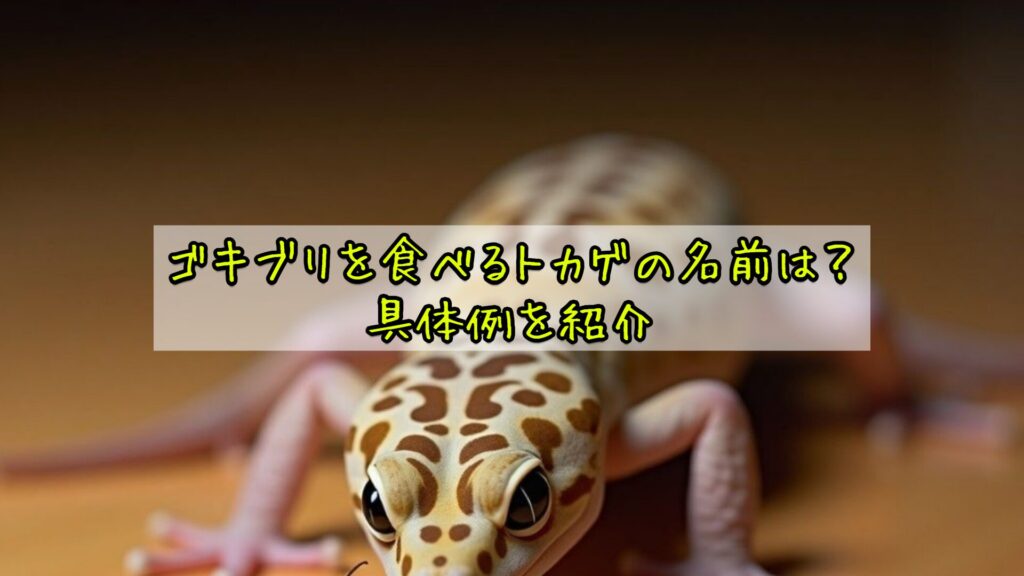 ゴキブリを食べるトカゲの名前は？具体例を紹介