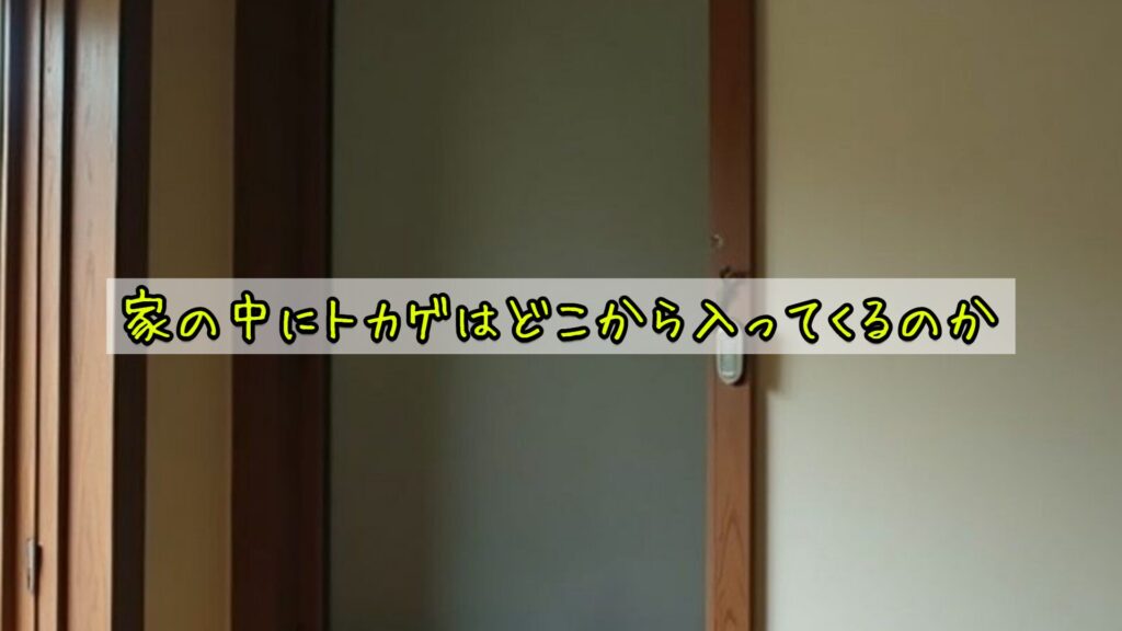 家の中にトカゲはどこから入ってくるのか