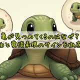 亀が見つめてくるのはなぜ？その理由と愛情表現のサインを徹底解説！