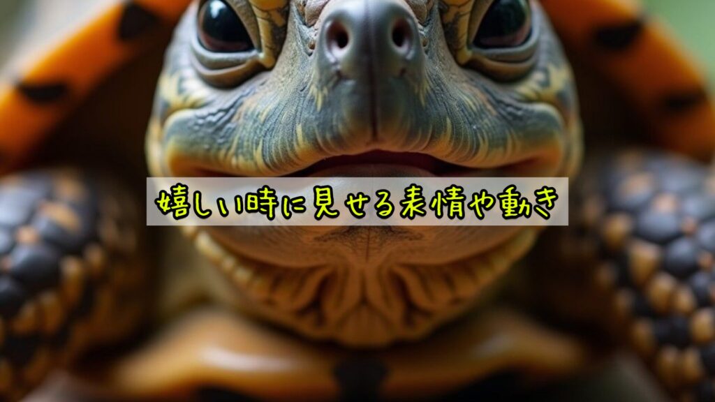 嬉しい時に見せる表情や動き