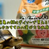 庭亀の餌はダイソーで買える？代用品やおすすめの選び方を徹底解説！