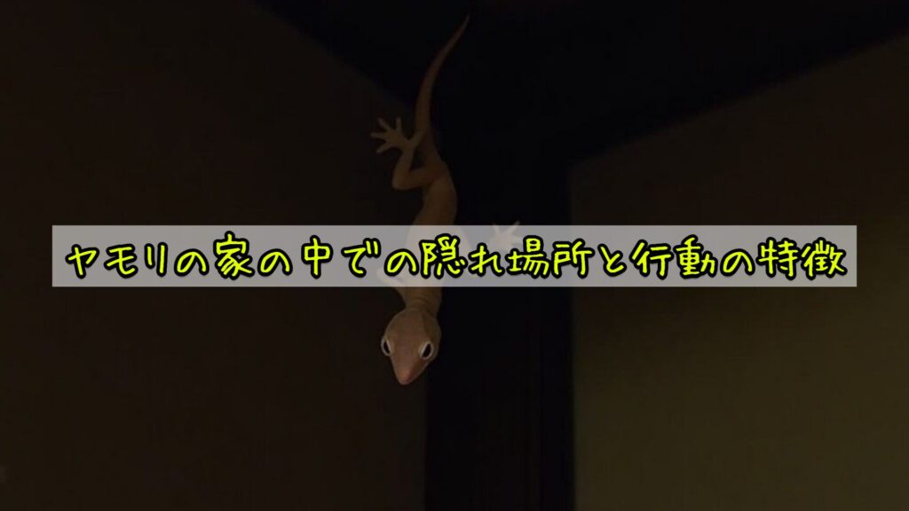 ヤモリの家の中での隠れ場所と行動の特徴