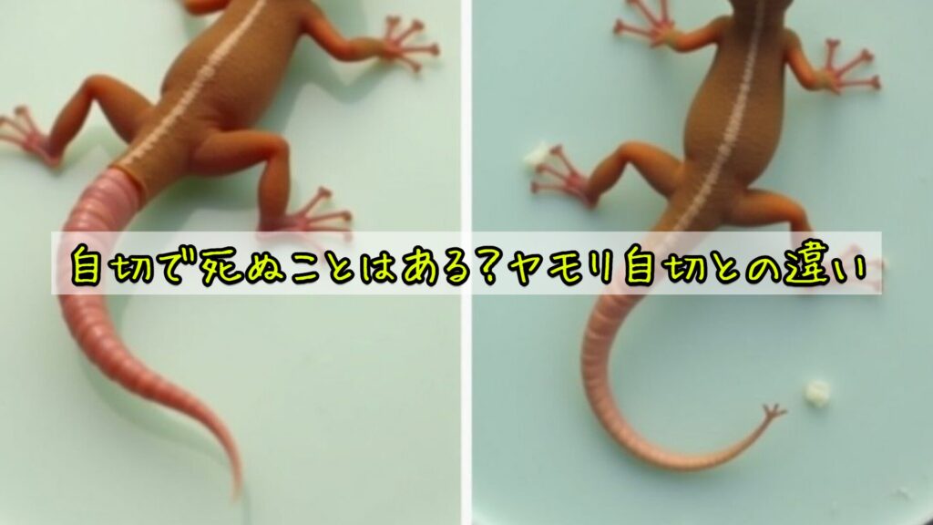 自切で死ぬことはある？ヤモリ自切との違い