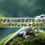 トカゲが白いのはなぜ？白いトカゲの種類とスピリチュアルな意味を解説