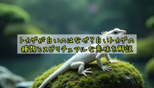 トカゲが白いのはなぜ？白いトカゲの種類とスピリチュアルな意味を解説