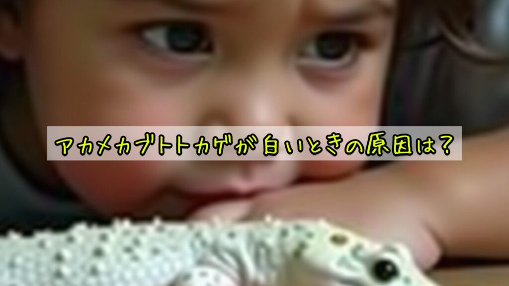 アカメカブトトカゲが白いときの原因は？