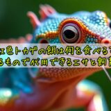 虹色トカゲの餌は何を食べる？家にあるもので代用できるエサと飼育のコツ