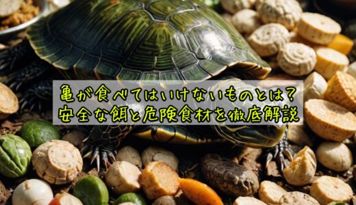 亀が食べてはいけないものとは？安全な餌と危険食材を徹底解説