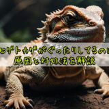 フトアゴヒゲトカゲがぐったりしてるのは危険?原因と対処法を解説