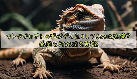 フトアゴヒゲトカゲがぐったりしてるのは危険？原因と対処法を解説