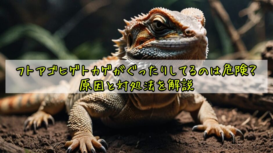 フトアゴヒゲトカゲがぐったりしてるのは危険？原因と対処法を解説