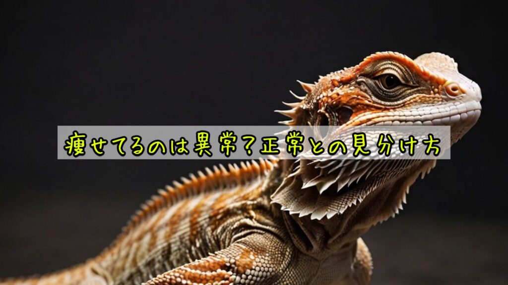 痩せてるのは異常?正常との見分け方