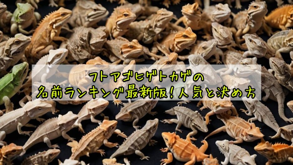 フトアゴヒゲトカゲの名前ランキング最新版！人気と決め方