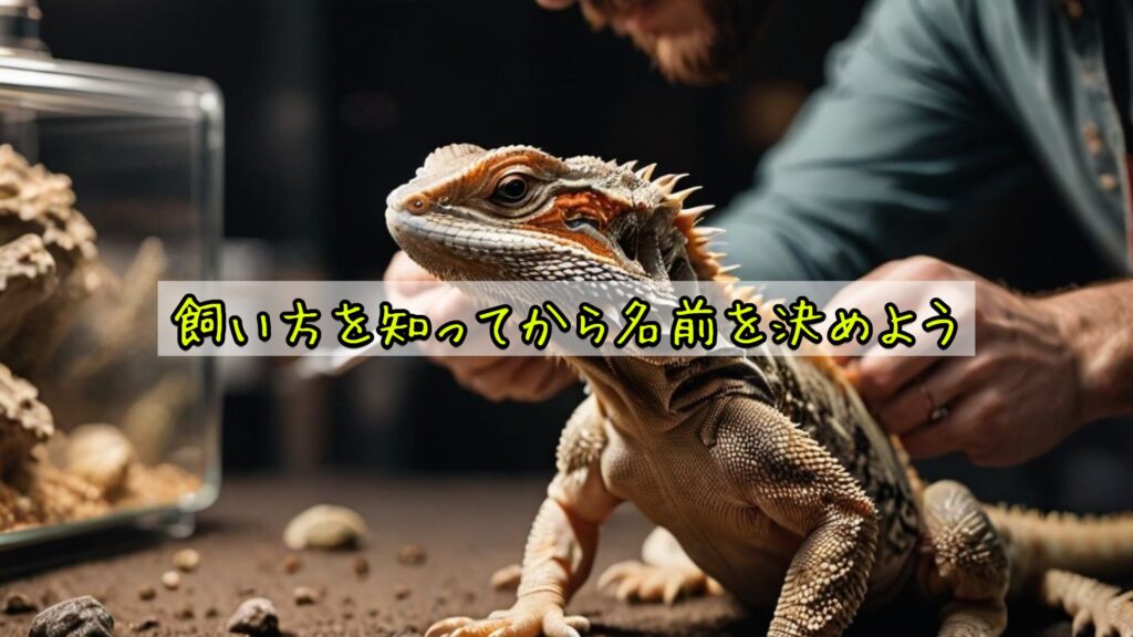 飼い方を知ってから名前を決めよう