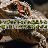 フトアゴヒゲトカゲの脱皮不全の原因と正しい対処法完全ガイド