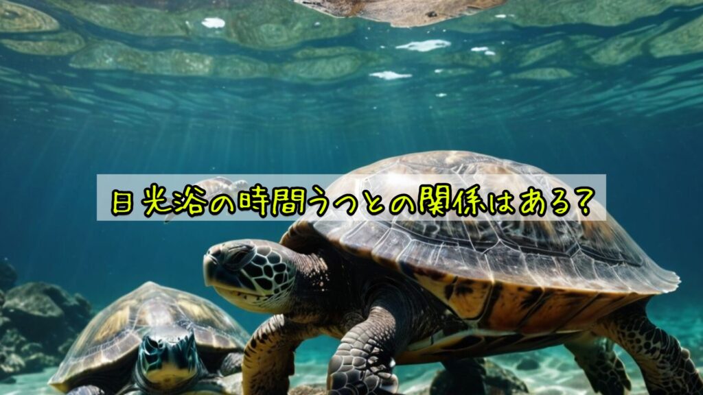 日光浴の時間うつとの関係はある？