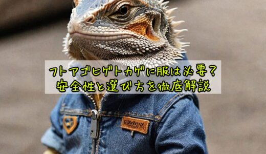 フトアゴヒゲトカゲに服は必要？安全性と選び方を徹底解説