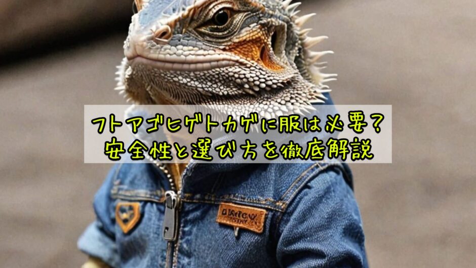 フトアゴヒゲトカゲに服は必要？安全性と選び方を徹底解説